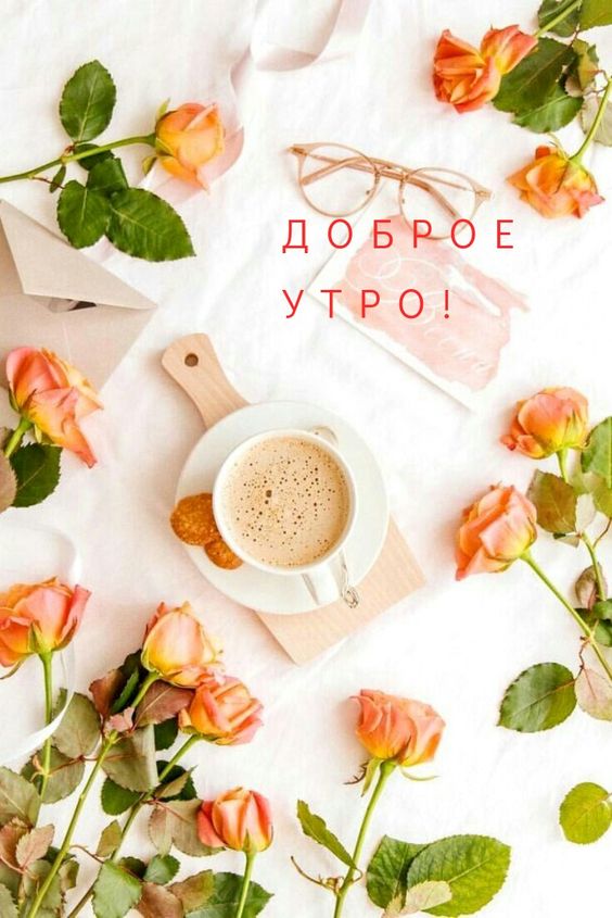Самое Доброе Утро! Передаю Привет?