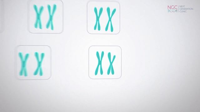 Преимплантационный генетический скрининг ПГДПГС NGS