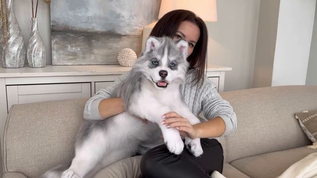 Хаски игрушка смотреть онлайн