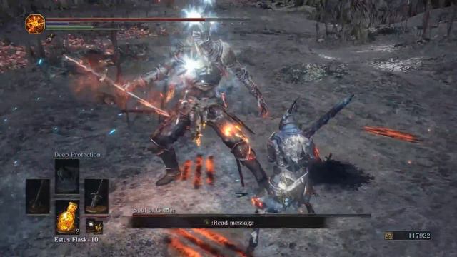 Dark Souls 3 Artorias vs Soul of Cinder 1440p смотреть онлайн