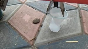 Самодельная сеялка своими руками точного высева!!!!