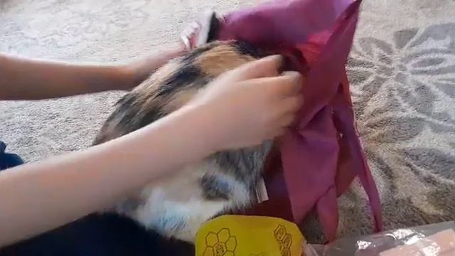 Подарки Анютке от наших подписчиков из Германии! смотреть онлайн