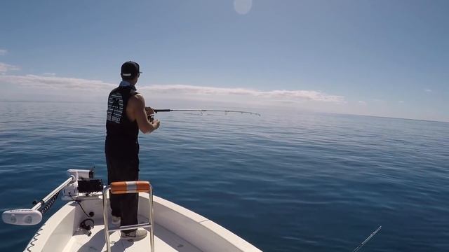Drone footage of GT Chasing Stickbaits смотреть онлайн