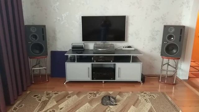 VID 20180330 1315321 смотреть онлайн