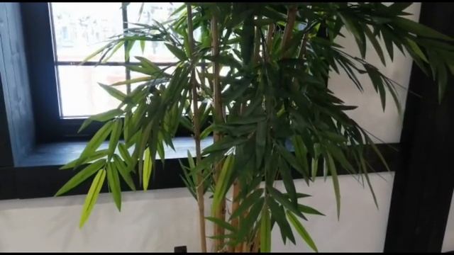 Рубрика "Шагаю по Москве" филиал Северное Измайлово "Японская деревня в районе Куркино" смотреть онлайн