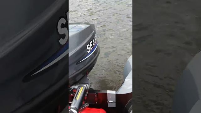 Первый заплыв "Ривьера 3400" и Сиа про9.8. Класс китай достойный!! смотреть онлайн