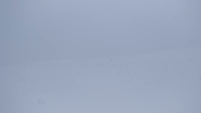 Снегоход 163 лошади фрирайд смотреть онлайн