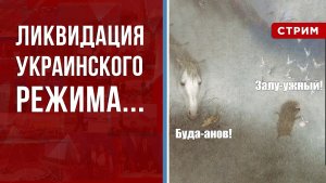 Ликвидация украинского режима [Борис Первушин. СТРИМ]