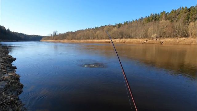 Лососёвая рыбалка в прекрасный мартовский день! Открыли сезон! смотреть онлайн
