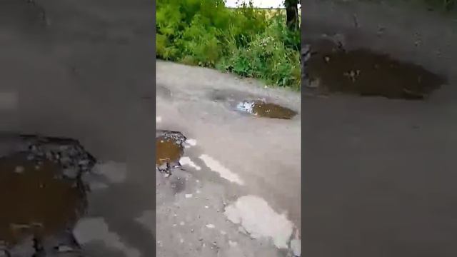 Состояние дорожного покрытия по направлению Авдеевка - Понорница (Черниговская обл.) смотреть онлайн