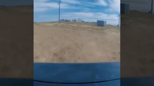 Subaru Legacy playin in the field смотреть онлайн