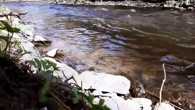 Футаж для монтажа (Река, течение) [Footage for installation (River, current)] HD смотреть онлайн