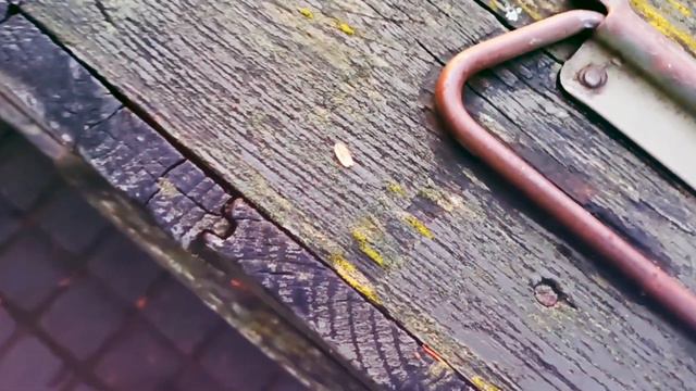 ЧИТАТИ ПІСНЯ смотреть онлайн