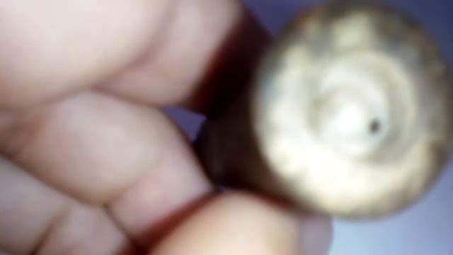 Нашёл гильзу в лесу смотреть онлайн