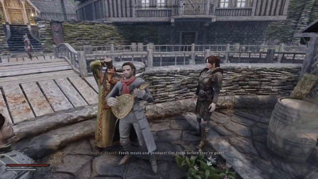 TAVERN DANCERS OF SKYRIM RAKS SHARKI смотреть онлайн