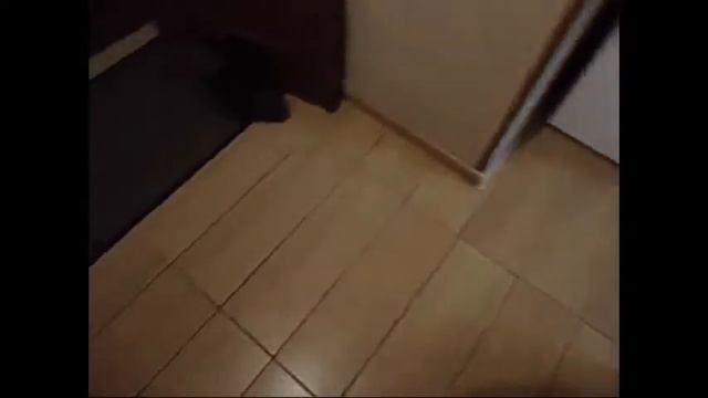 2 комн квартира Алтайская дом 17 к 1 смотреть онлайн