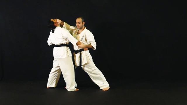 Curso online de Kyokushin "adaptado" (Dragonz.es) смотреть онлайн