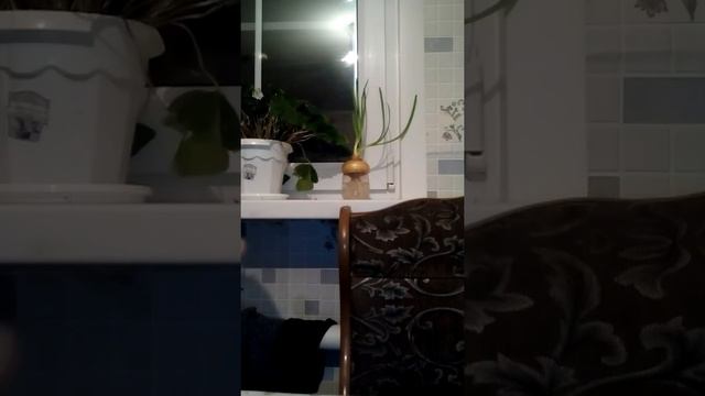 Зимняя снасть на щуку смотреть онлайн