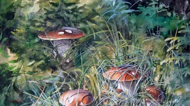 Вокальный квартет АККОРД - За лесными стёжками смотреть онлайн