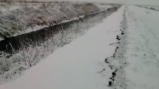 Охота на уток с сеттером смотреть онлайн