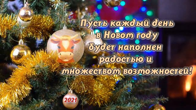 Поздравление от Сергея Михайлова смотреть онлайн