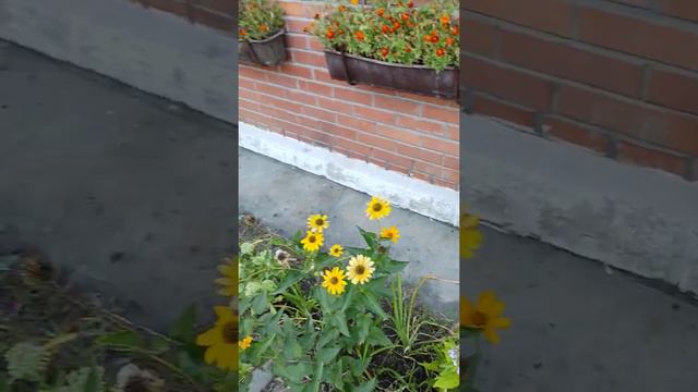 В кафе у нас - "На районе" возле Оз.Тельбин смотреть онлайн