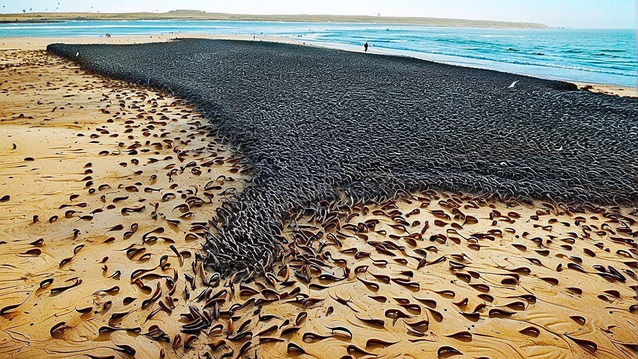 200 Невероятных Вещей, Снятых на Камеру. Лучшее за Месяц смотреть онлайн