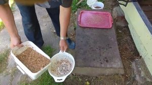 Отделяем прополис от воска