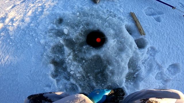 рыбалка на хапуги мы их нашли смотреть онлайн