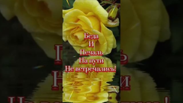 20 декабря 2022 г. смотреть онлайн