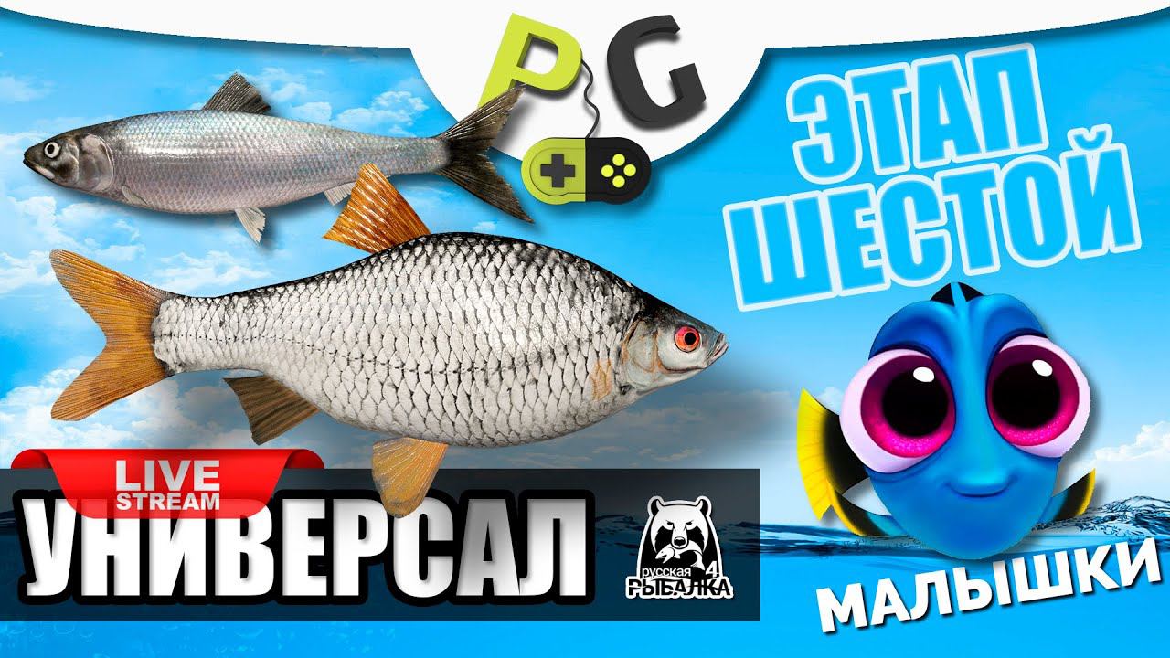 Русская Рыбалка 4 - Стрим Прокачка УНИВЕРСАЛА для 6-го этапа Стрим #4 Тур Малышки + Фарм на Селедке смотреть онлайн