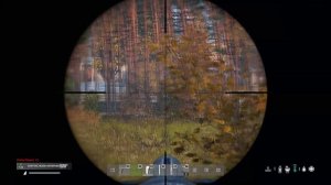 Гайд КАК стать хорошим снайпером в DayZ Советы обучение туториал FOREST DEATHMATCH патч 1.10