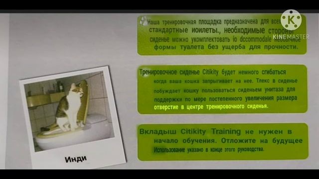 Как приучить кота к унитазу ? ;) смотреть онлайн