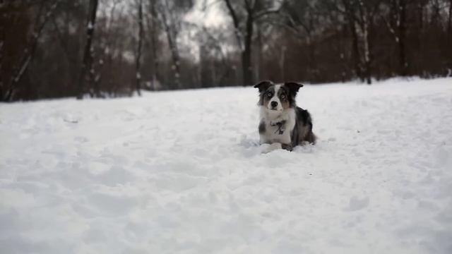 Lumos Solem Boontar смотреть онлайн