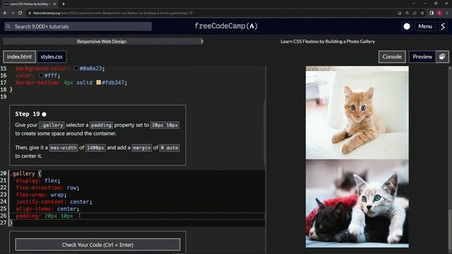 FreeCodeCamp | Learn CSS Flexbox by Building a Photo Gallery: Step 19 | Responsive Web Design смотреть онлайн