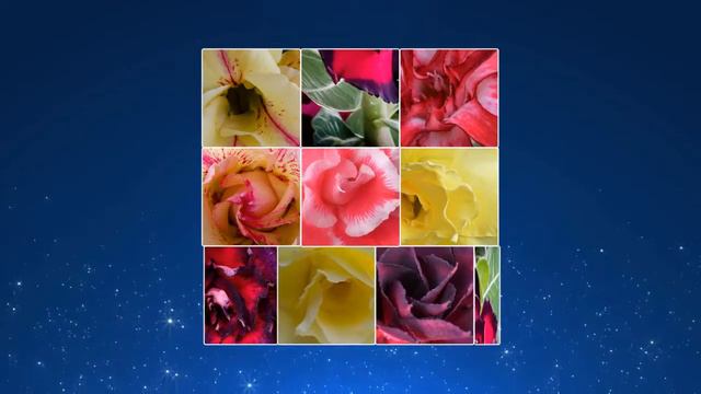 Кубик рубик адениумный смотреть онлайн