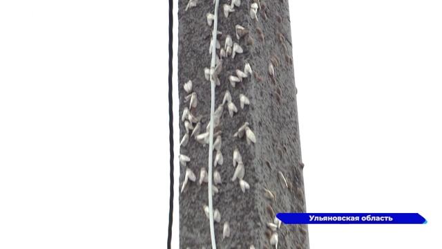 Новости "Волга-24" 26.07.2022 15:00