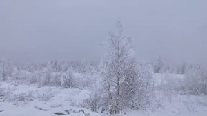 #Север России. #Ямал #Лабытнанги. #Тундра. #зима октябрь 2021