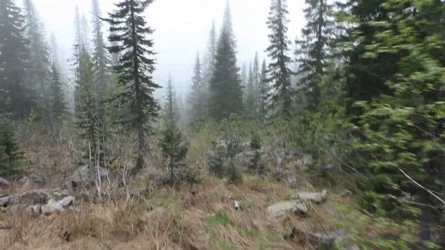 Катастрофа самолета 1945 года в горах Кузнецкого Алатау. смотреть онлайн