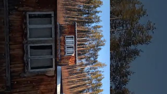 Продам Дачу! смотреть онлайн
