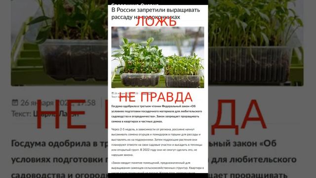 Запретили выращивать рассаду? смотреть онлайн