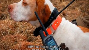 GPS-ошейник для собак с навигатором для охотничьих пород