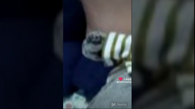 басик не мой смотреть онлайн