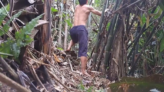 300 Days Alone How I Survival, Cooking And Building In The Forest Stone Age, Primitive Technology смотреть онлайн