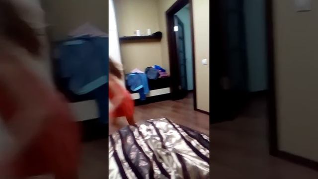 Сестра псих срочно деньги на лечение!!! (Нет) ))) смотреть онлайн