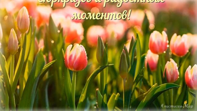 С 8 марта! Красивое поздравление с 8 марта, праздником весны, очарования, красоты и женственности! смотреть онлайн