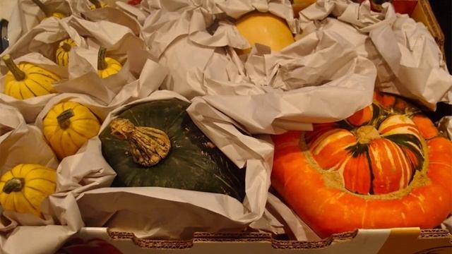 Рецепты с тыквой: вкусно и полезно