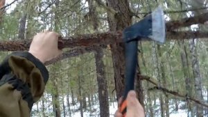 Строительство кулемки для ловли куницы