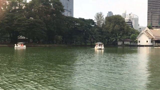 Бангкок:Парк Люмпини+Вараны смотреть онлайн