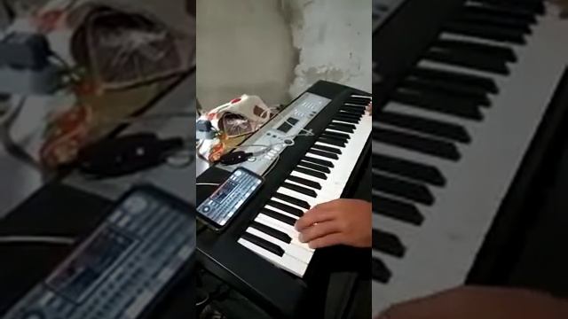 ORG 2020 com o teclado Yamaha Psr E203 смотреть онлайн